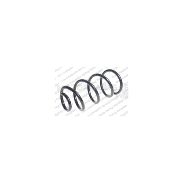 Coil Spring image