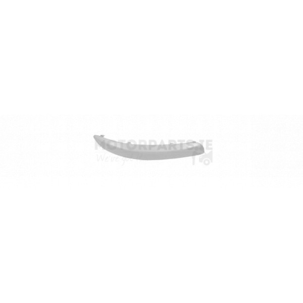 Bumper Moulding image