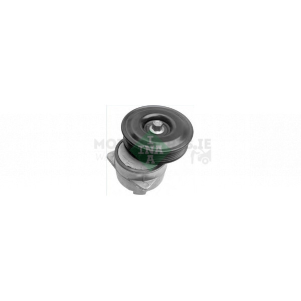 Tensioner Pulley image