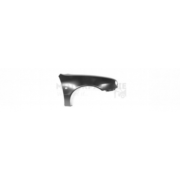 Wing image