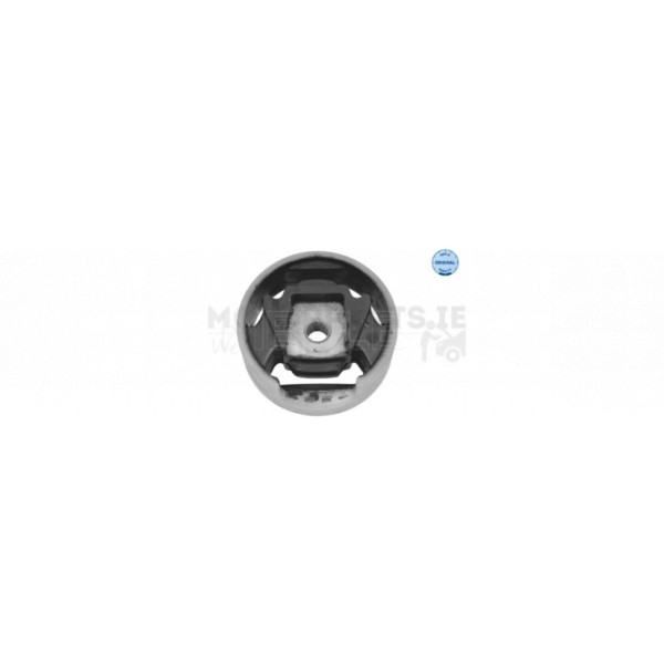 Engine/Transmission Bush/Mount image