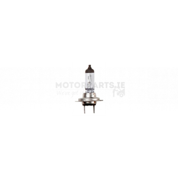 Head Light image