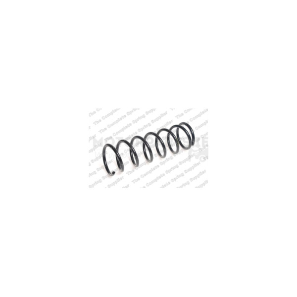 Coil Spring image