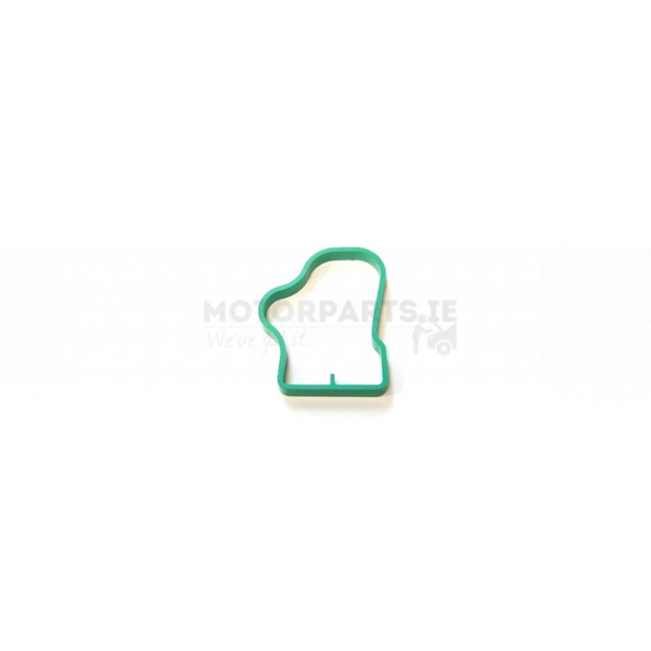 Manifold Gasket image