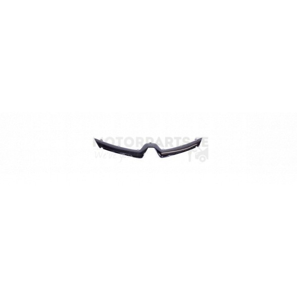 Radiator Grille Moulding image