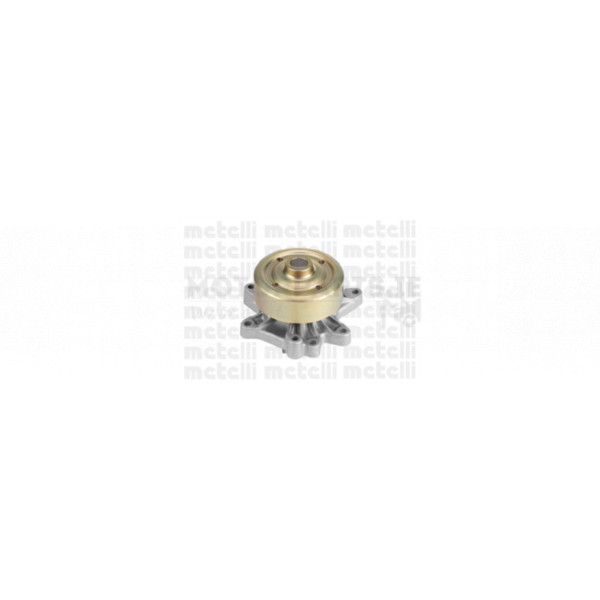 Water Pump image