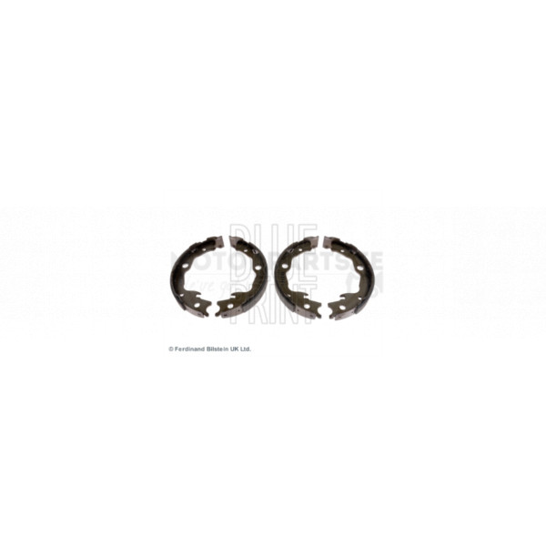 Brake Shoe Set image
