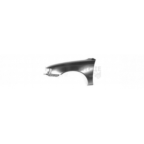 Wing image