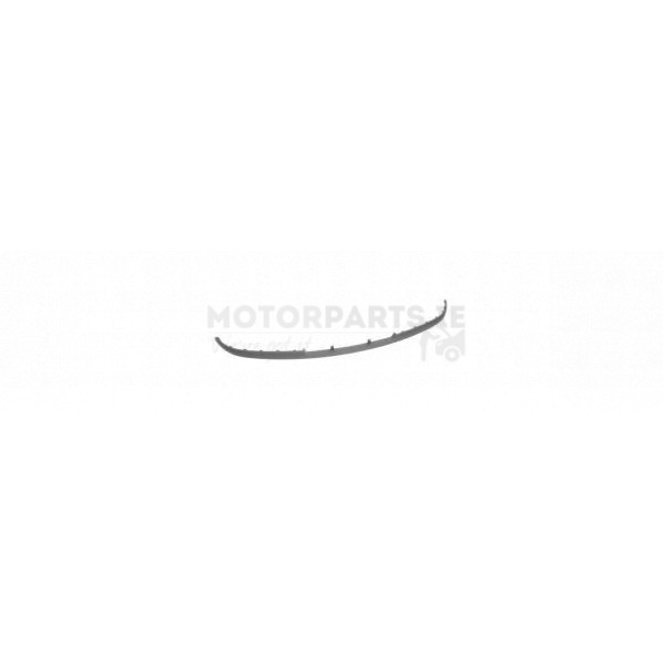 Bumper Band / Moulding image