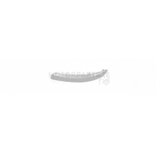 Bumper Moulding image