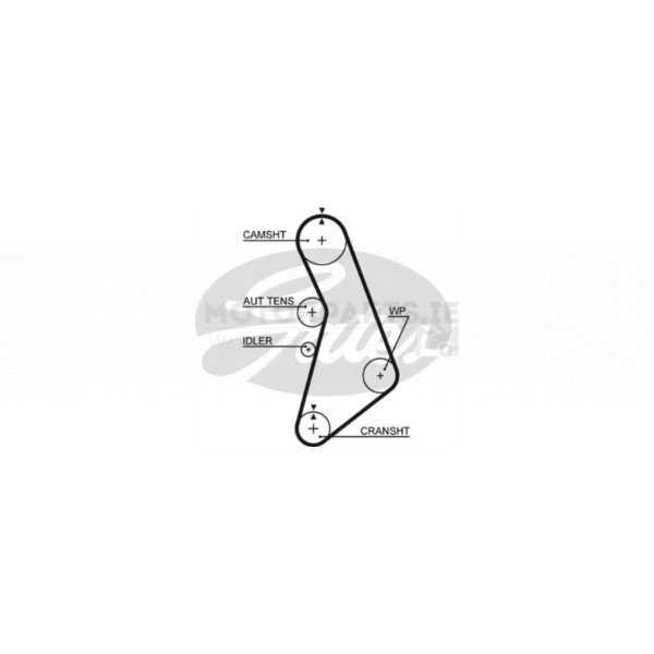 Timing Belt image