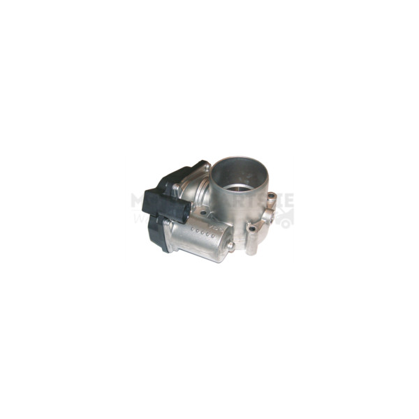 Throttle Body image