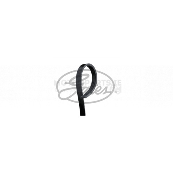 Drive Belt image