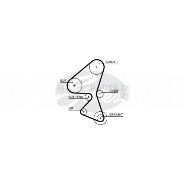 Skoda Superb 1.6 2015 (diesel) Timing Belt