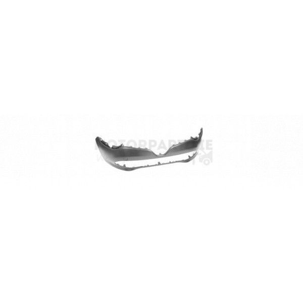 Bumper image