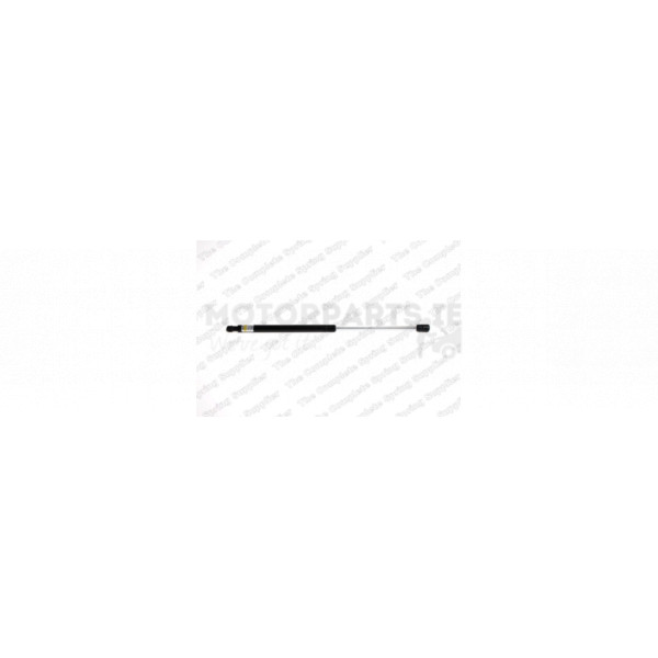 Gas Spring image