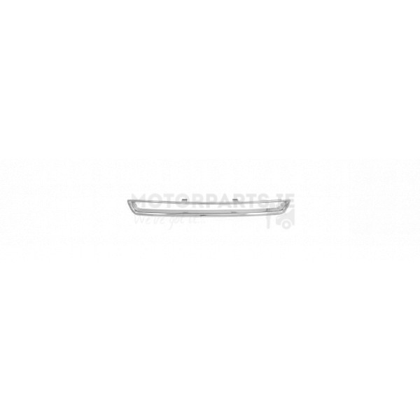 Bumper Grille Moulding image