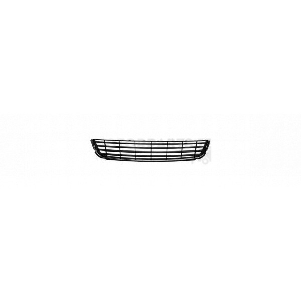 Bumper Grille image