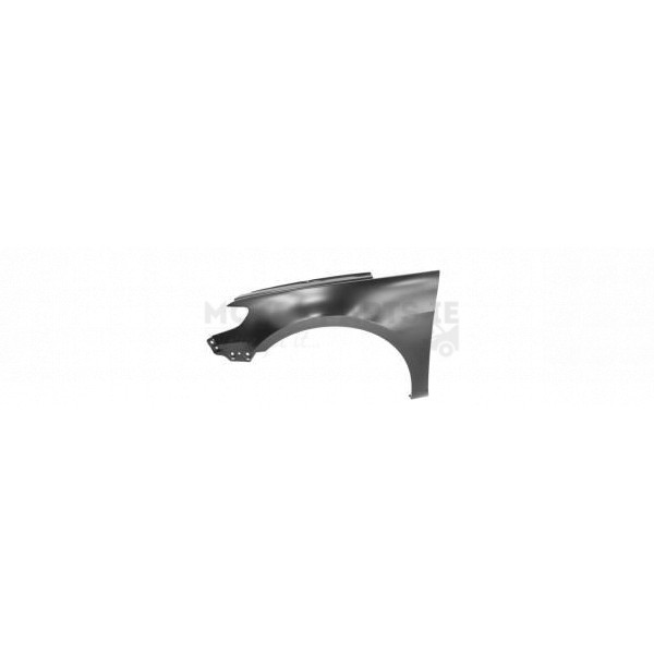 Wing image