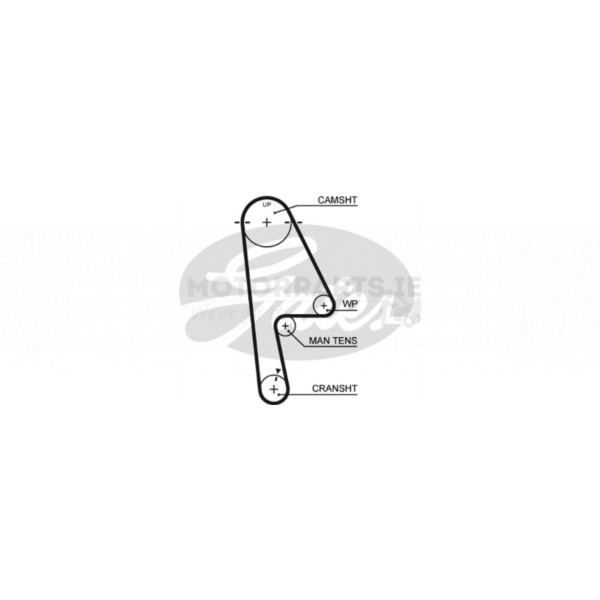 Timing Belt image