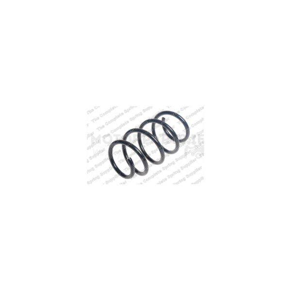 Coil Spring image