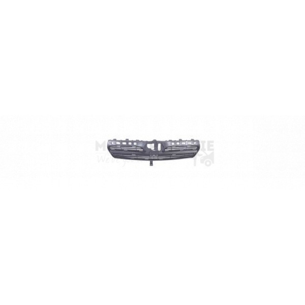 Radiator Grille image