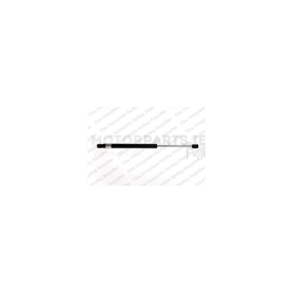 Gas Spring image