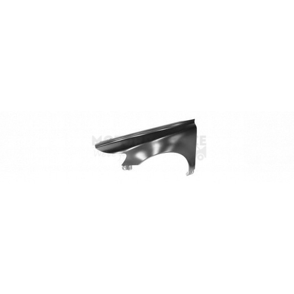Wing image