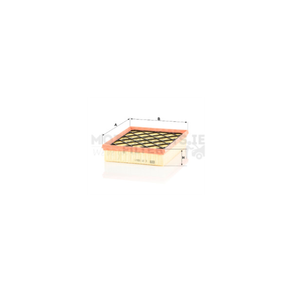 Air Filter image