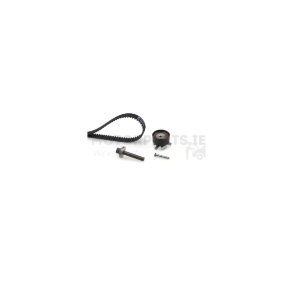 Timing Belt Kit image