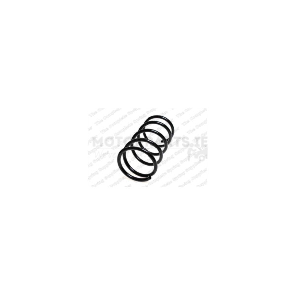 Coil Spring image