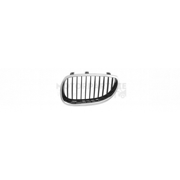 Radiator Grille image