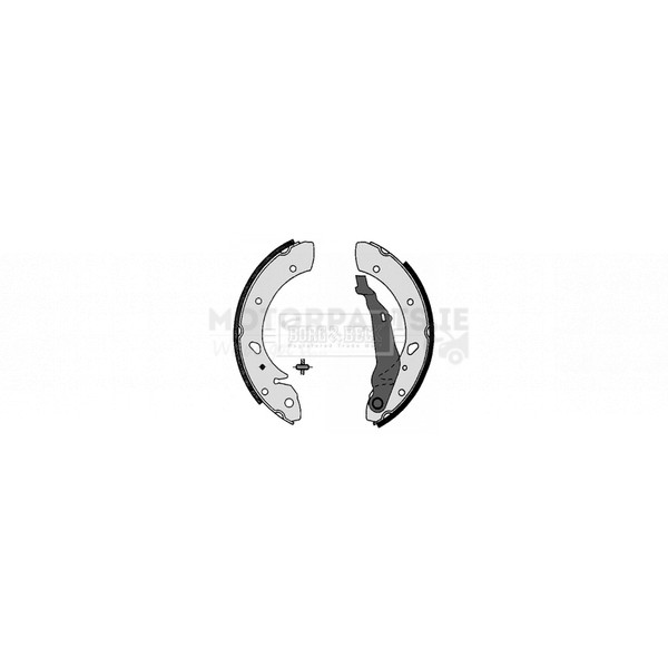 Brake Shoe Set image
