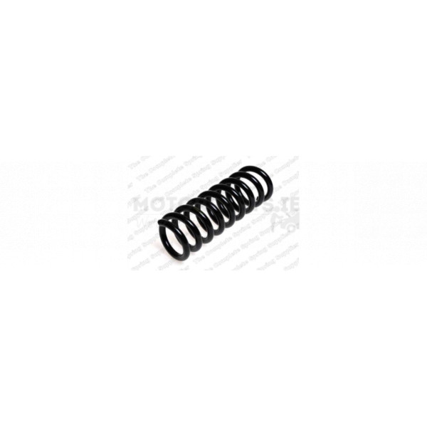 Coil Spring image