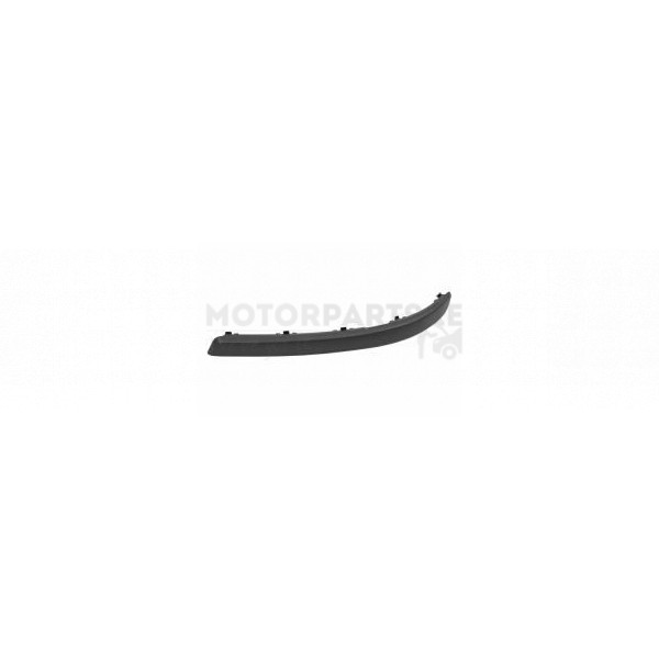 Bumper Moulding image