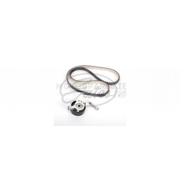 Timing Belt Kit image