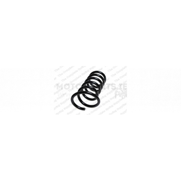 Coil Spring image