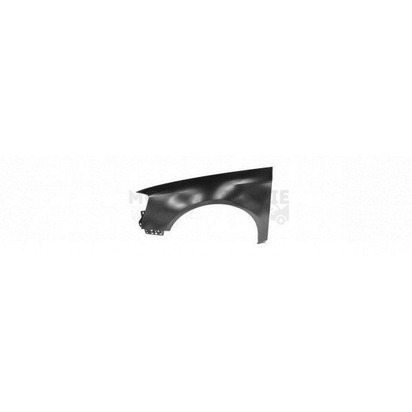 Wing image