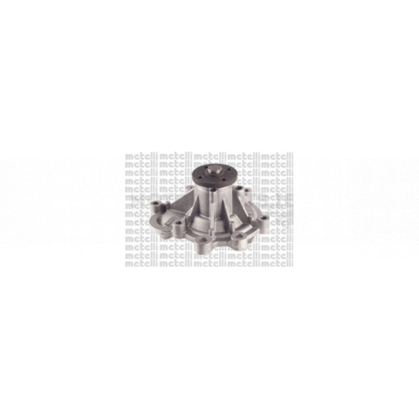 Water Pump image