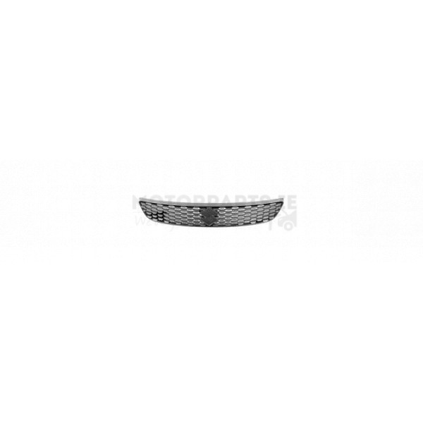 Radiator Grille image
