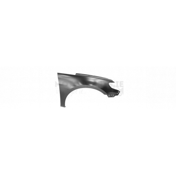 Wing image