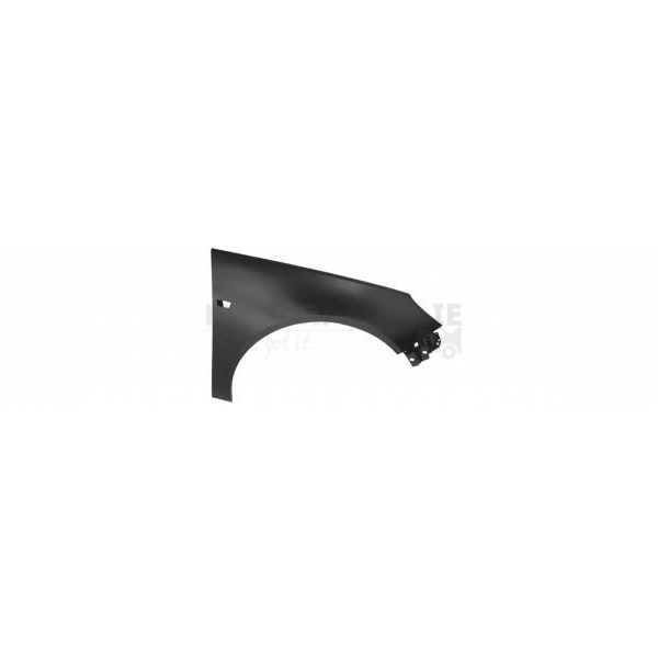 Wing image