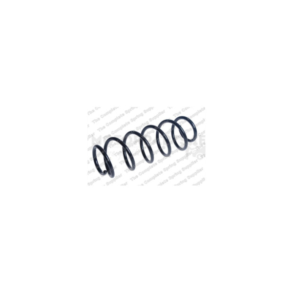 Coil Spring image