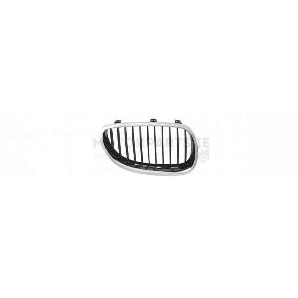 Radiator Grille image