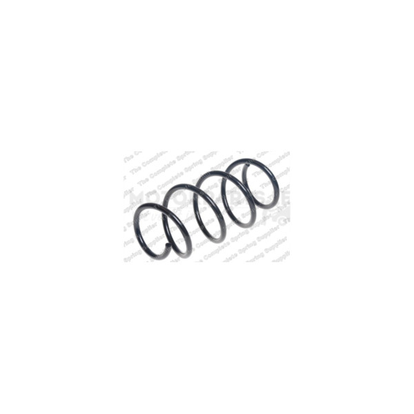 Coil Spring image